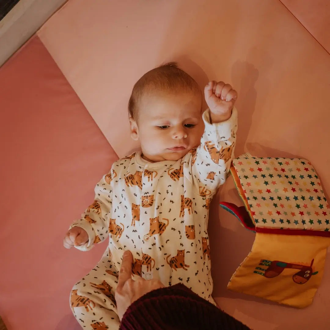 Baby Sleep and Bed Sharing