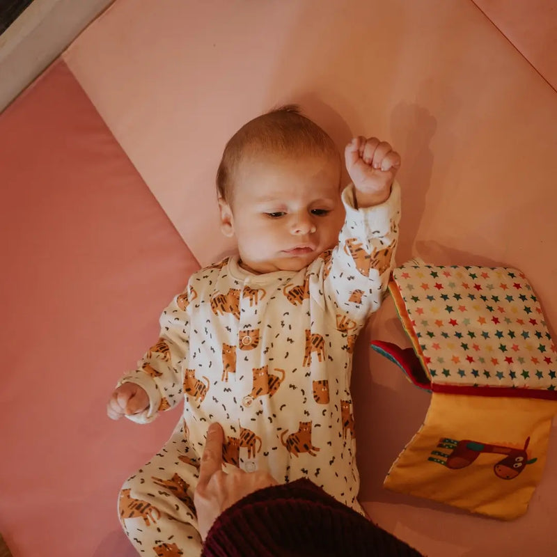 Baby Sleep and Bed Sharing