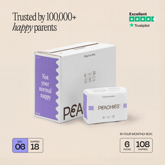 Nappies Size 06